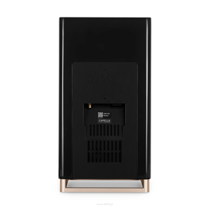 TRIANGLE CAPELLA KOLUMNY PODSTAWKOWE AKTYWNE AUDIOFILSKIE BLACK STAR, WISA, CHROMECAST, ROON READY, SPOTIFY CONNECT, AIRPLAY, PARA - 4