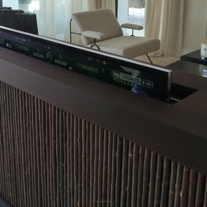 Future Automation PL TV Lift 32