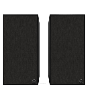 KLIPSCH THE NINES BLACK + WiiM MiNi - 2