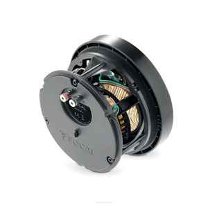 FOCAL 300 ICW 4  - 2