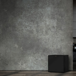KLIPSCH REFERENCE R-101SW - 5