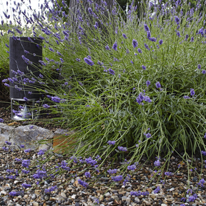 Architettura Sonora TALL CYLINDER 550 Basic Stones - 7