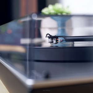 CAMBRIDGE AUDIO ALVA TT v2 - Gramofon z BT - 10