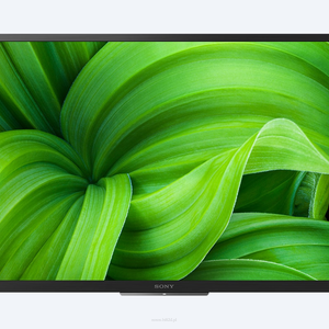 SONY FWD-32W8001  Android 10, Bravia Engine, HDR (HDR10, HLG), Chromecast, WiFi (5Ghz, 2.4Ghz), BT 4.2 - 2