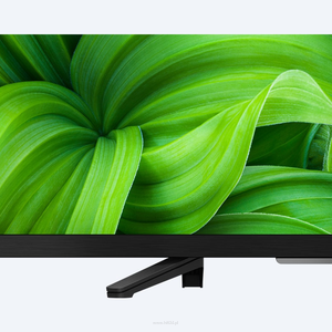 SONY FWD-32W8001  Android 10, Bravia Engine, HDR (HDR10, HLG), Chromecast, WiFi (5Ghz, 2.4Ghz), BT 4.2 - 4