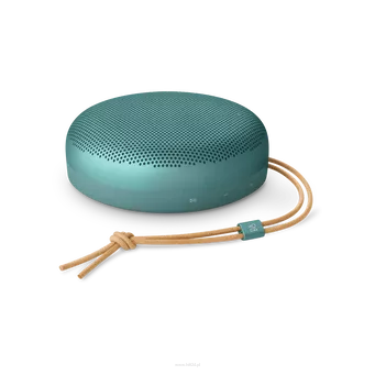 BANG & OLUFSEN Beosound A1 3rd Gen Eucalyptus Green  Wodoodporny głośnik Bluetooth