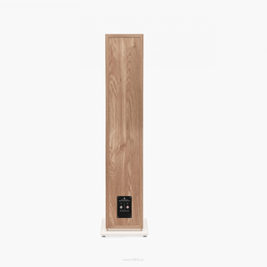 TRIANGLE BOREA BR09 (BR-09)  Ligcht Oak KOLUMNY PODŁOGOWE 3-DROŻNE O MOCY 170W - 4