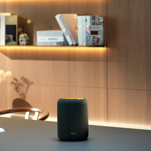 WiiM Sound Lite – kompaktowy głośnik bezprzewodowy Hi-Res do multiroom - 2