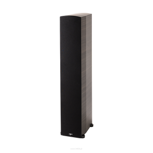 Paradigm PREMIER 700F Kolumna podłogowa - 2