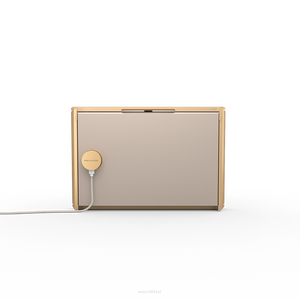 Bang & Olufsen Beosound Level Gold Tone Alu/Light Oak - 2