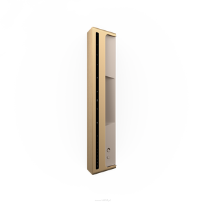 Bang & Olufsen Beosound Level Gold Tone Alu/Light Oak - 4