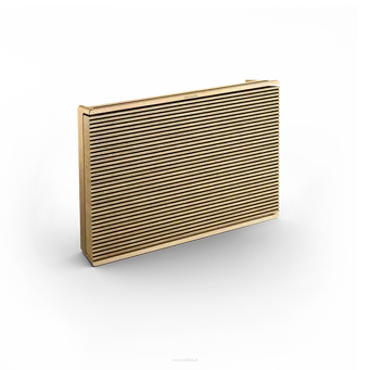 Bang & Olufsen Beosound Level Gold Tone Alu/Light Oak