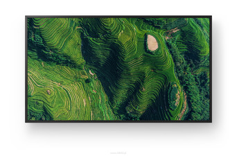 SONY FW-50BZ35P  Monitor profesjonalny 4K HDR Wyraźny obraz bez refleksów – 500 nitów, z technologią Deep Black Non-Glare Standard i odpornością na pył klasy IP5X