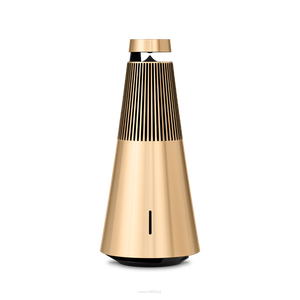 BANG & OLUFSEN  Beosound 2 3rd Gen Gold Tone - 3