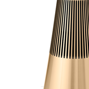 BANG & OLUFSEN  Beosound 2 3rd Gen Gold Tone - 5
