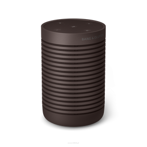 Bang & Olufsen Beosound Explore Chestnut - 2
