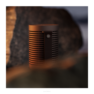 Bang & Olufsen Beosound Explore Chestnut - 5