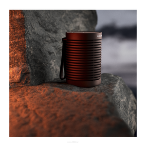 Bang & Olufsen Beosound Explore Chestnut - 6