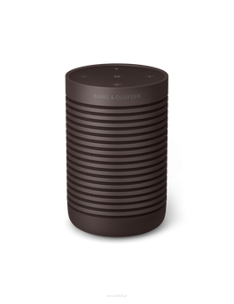 Bang & Olufsen Beosound Explore Chestnut