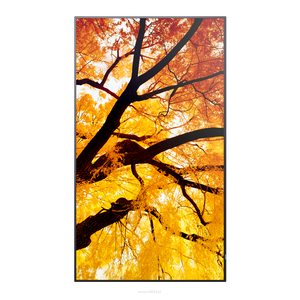 Sharp MultiSync M862 86