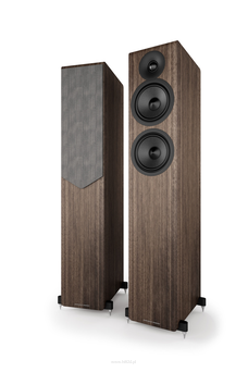 Acoustic Energy AE309² – kolumna głośnikowa, dynamiczne brzmienie