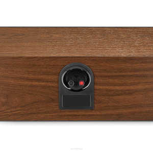 FOCAL THEVA CENTER DARK WOOD - 2
