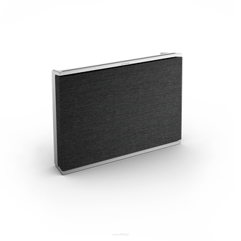 Bang & Olufsen Beosound Level Natural Alu/Dark Grey