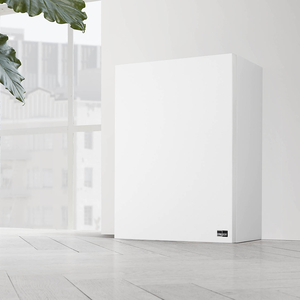 LYNGDORF BW-2 aktywny referencyjny subwoofer w kompaktowej obudowie.  - 4