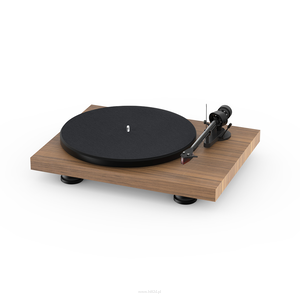 Pro Ject DEBUT CARBON EVO - Gramofon z wkładką 2M-RED - 7