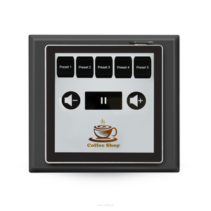 Bluesound CP200  Panel Wyposażony w wyraźny 4-calowy szklany ekran dotykowy oraz zasilanie przez Ethernet (PoE) - 2