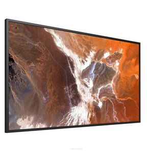 SONY BRAVIA FW-55BZ30P Precyzyjny obraz 4K z powłoką Non-Glare i jasnością 400 nitów - 2