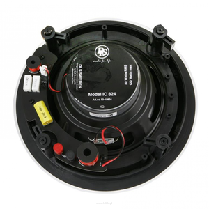 DLS IC824 - 2