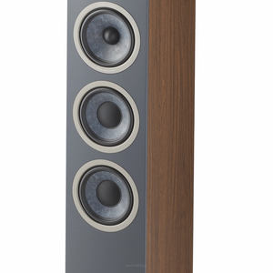 FOCAL THEVA N°3  DARK WOOD - 3