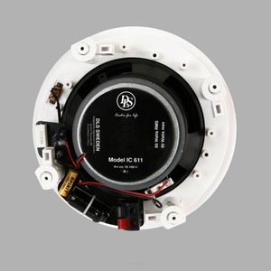 DLS IC611 - 2