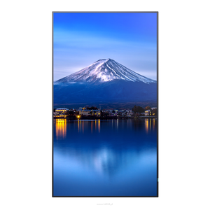 Sharp MultiSync P756 75