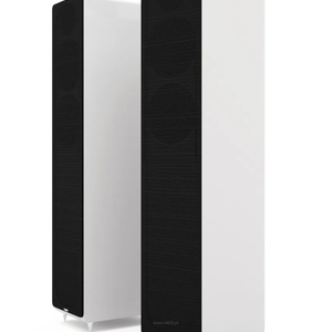 Acoustic Energy AE309 - 3