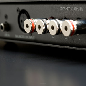 Monitor Audio IWA250 Wzmacniacz do subwoofera sufitowego - 4
