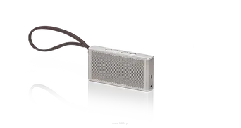 Loewe Klang m1 głośnik przenośny Bluetooth