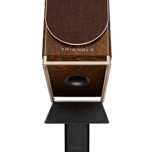 TRIANGLE CAPELLA KOLUMNY PODSTAWKOWE AKTYWNE AUDIOFILSKIE BROWN NEBULA, WISA, CHROMECAST, ROON READY, SPOTIFY CONNECT, AIRPLAY, PARA - 6