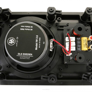 DLS IW-2.4 - 2