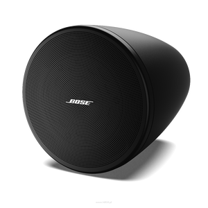 BOSE DesignMax DM3P Głośniki wiszące  Para - 2