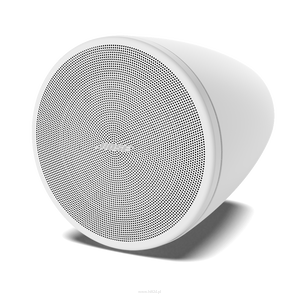 BOSE DesignMax DM3P Głośniki wiszące  Para - 4