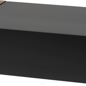 PRO-JECT Amp Box DS2 Mono Moc wyjściowa 120W / 205W przy 8/4Ω - 4