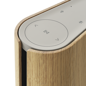 Bang & Olufsen Beosound Emerge Gold Tone Alu/Light Oa - 8
