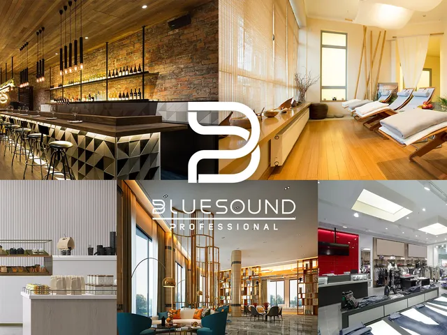 Bluesound Professional 