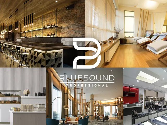 Bluesound Professional to połączenie sprzętu i oprogramowania stworzonego specjalnie z myślą o wysokiej jakości dźwięku sieciowym w sklepach detalicznych, barach, restauracjach, hotelach, siłowniach i innych zastosowaniach komercyjnych